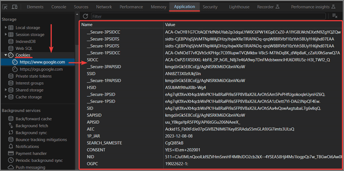cookies in Chrome developer tools